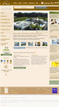 Mobile Screenshot of nuevovichona.com